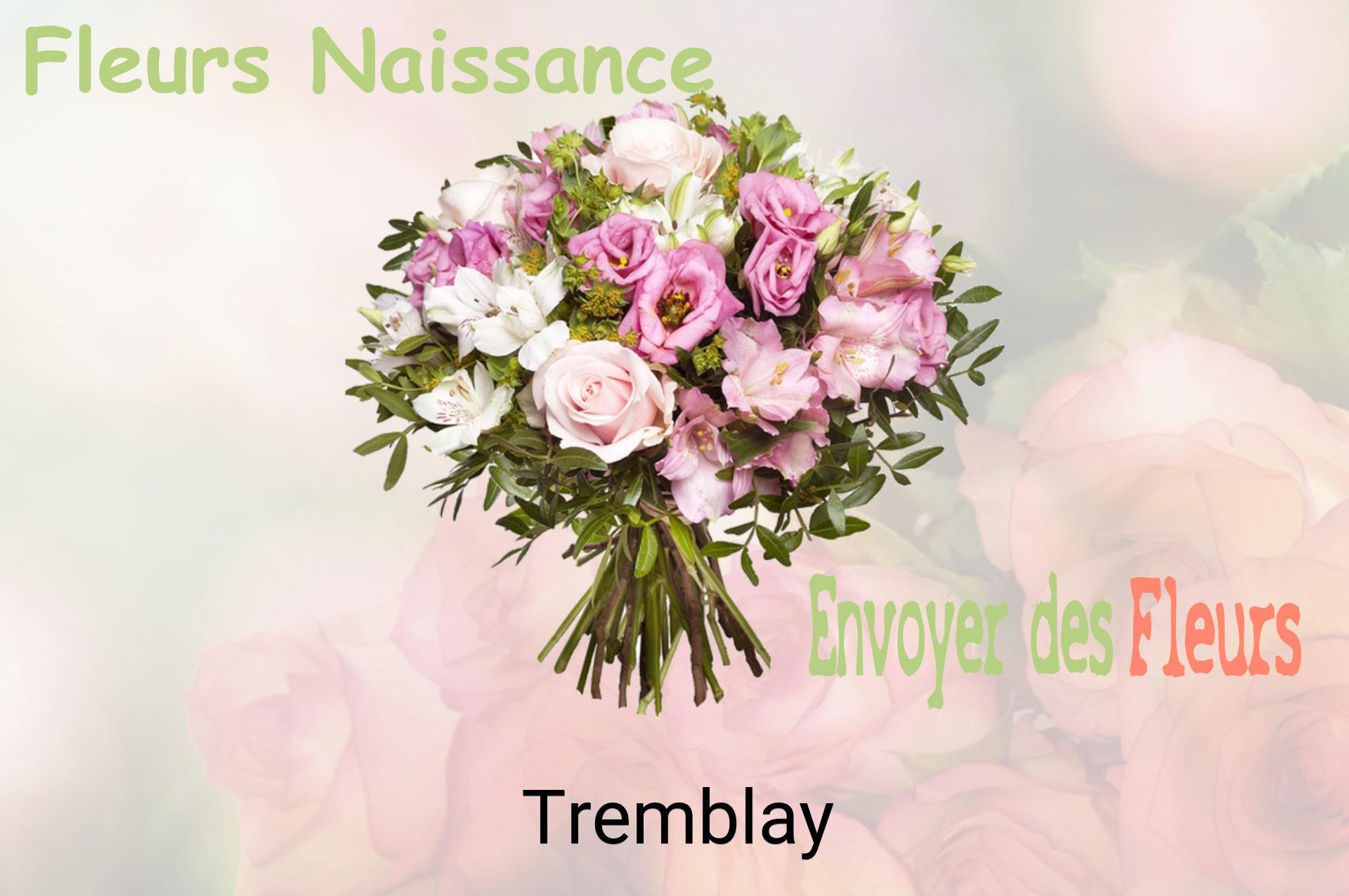 Bouquet de fleurs de naissance livré à Tremblay