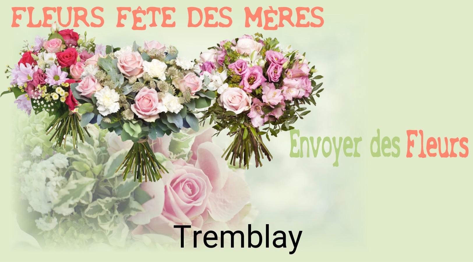 Bouquet de Fête des Mères livré à Tremblay